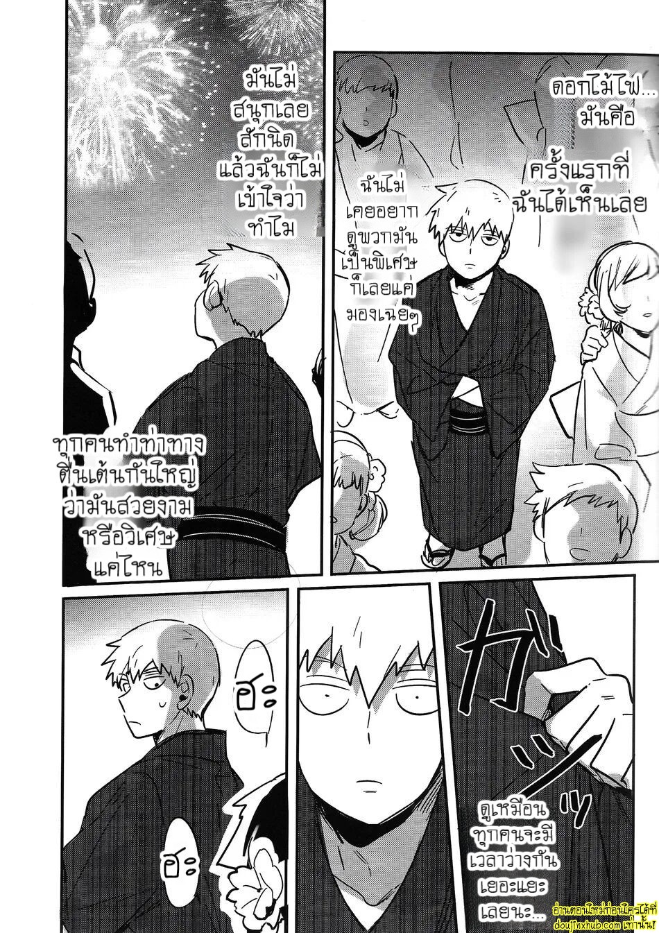 ดอกไม้ไฟแสนงดงาม-25